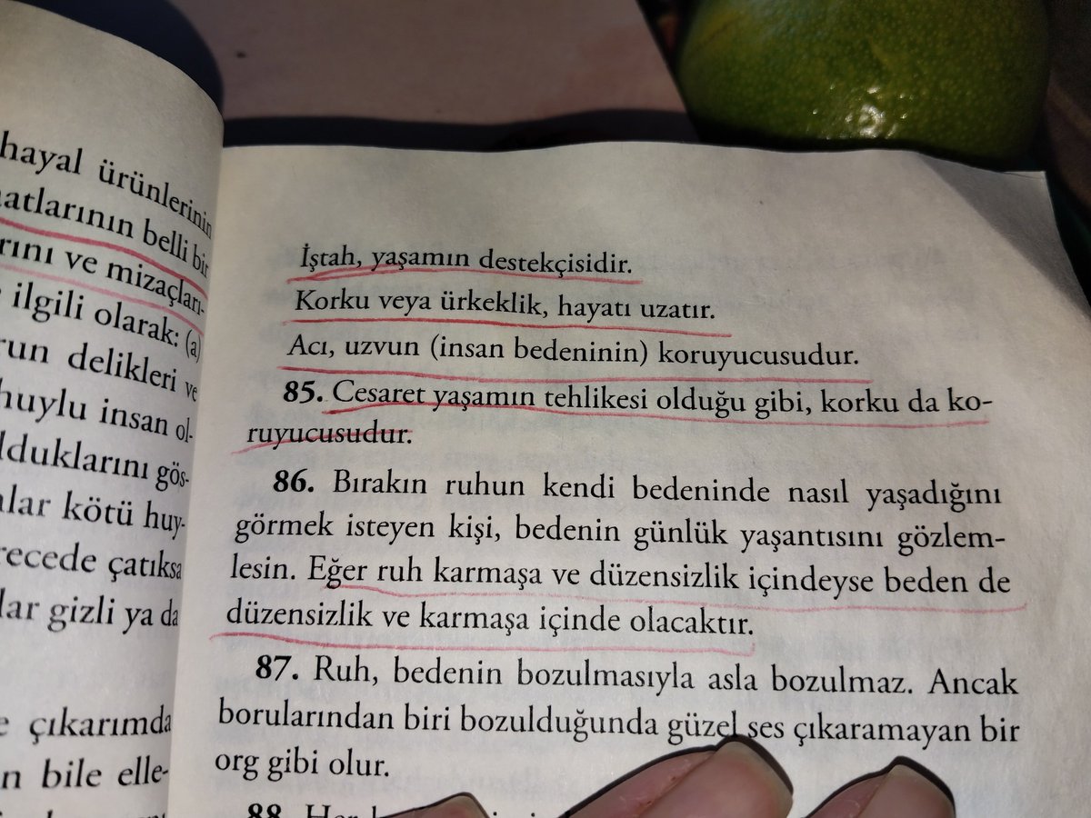 zzgklkn's tweet photo. #leonardodavıncı
#yaşam
#düşünce https://t.co/Lhfl8YiuMh