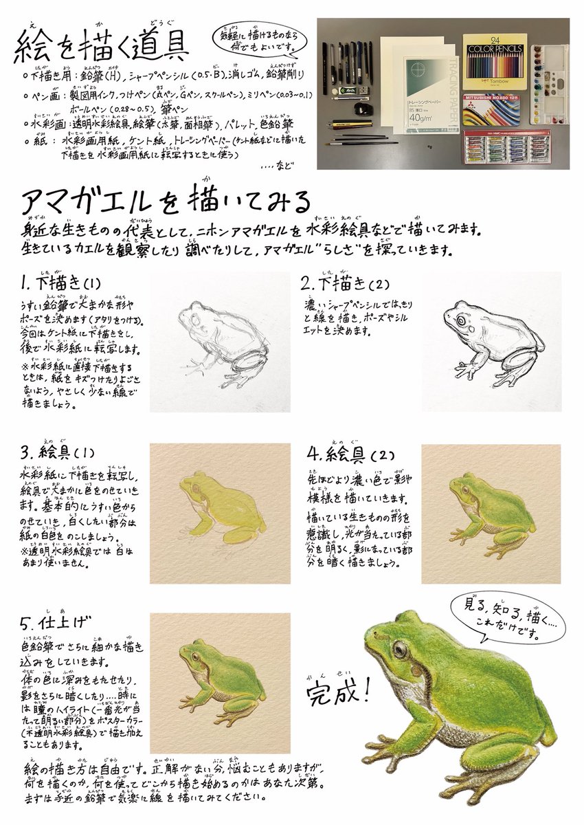amu_theApe's tweet photo. 生きものの描きかた https://t.co/q60ch9IQGP