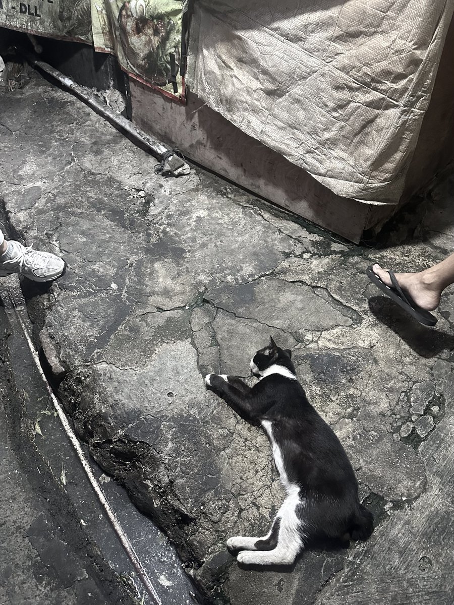 eeongi's tweet photo. beli pecel ayam tapi penglarisnya malah tidur, gimana sih. https://t.co/Dwg1yDSSXk