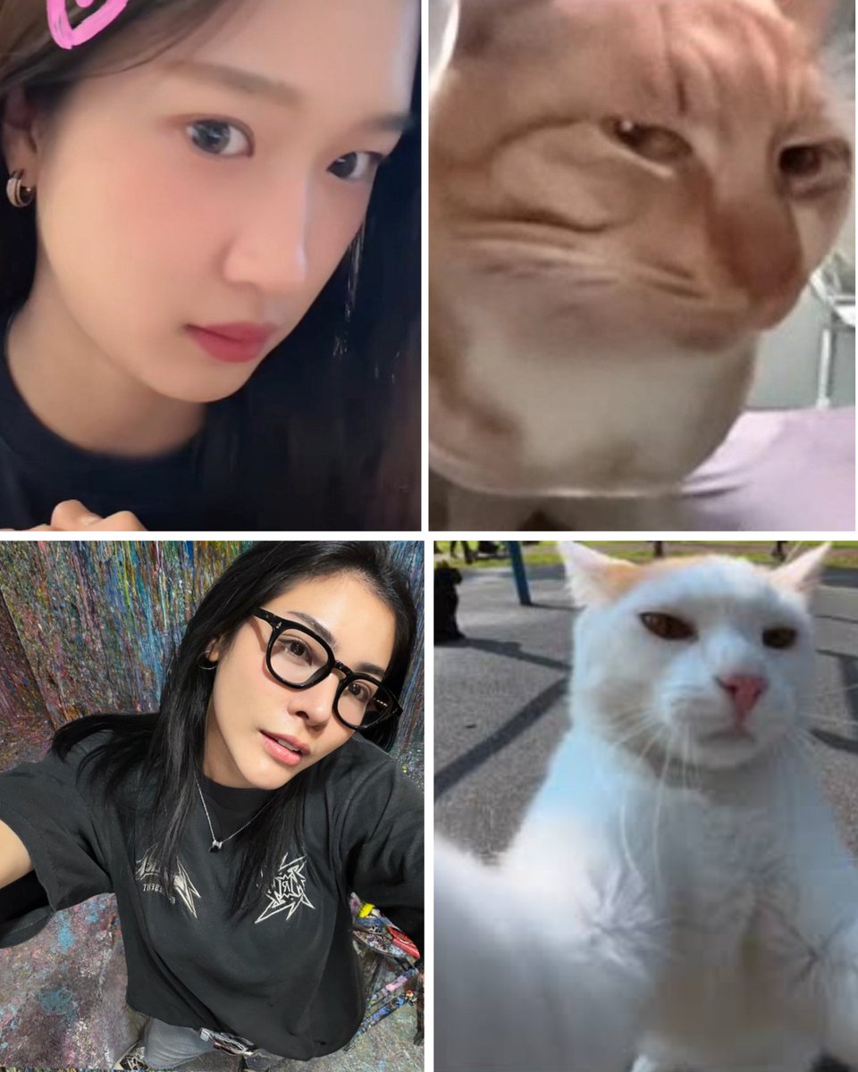 im_myouison2's tweet photo. FayeAtom as cat memes 😂🐱🐾

@malisorn00 @atomprys
#FayePeraya #AtomPariya https://t.co/I6gY7z2uVW