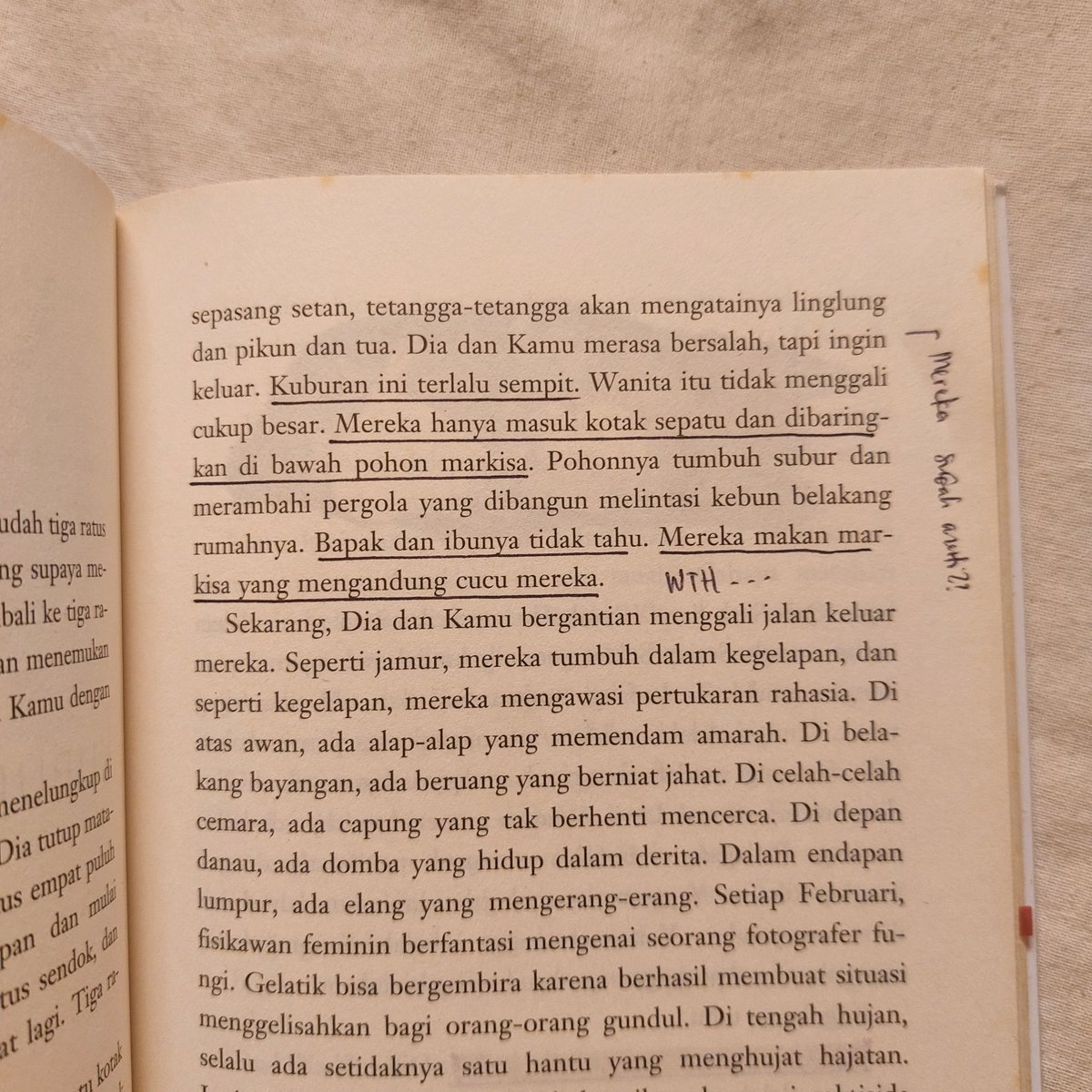 shylvermist's tweet photo. buku cantik yang isinya tidak cantik 💀 https://t.co/Da2TlJlzJc
