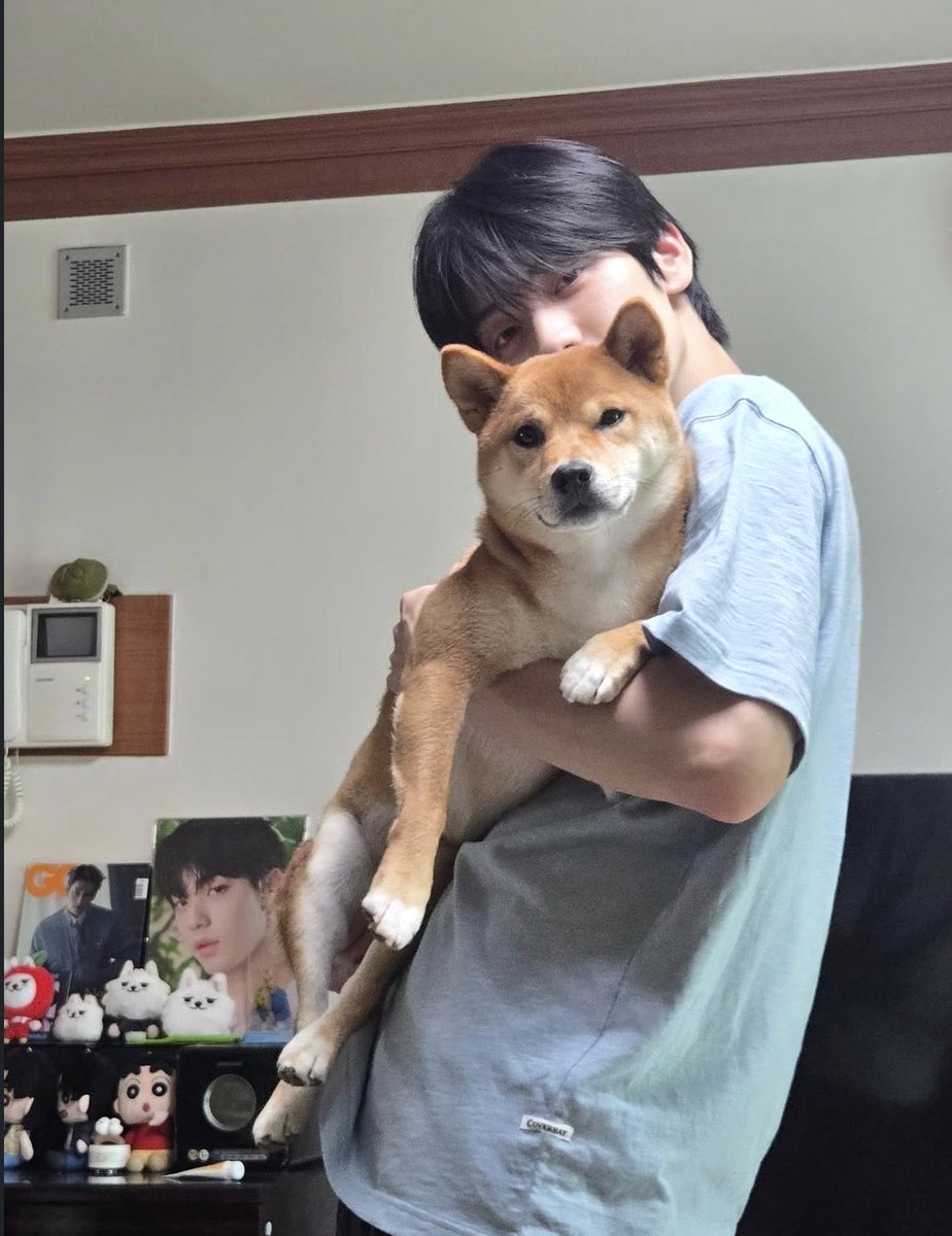 lovergyuu's tweet photo. he's so dada im gonna give him my babies https://t.co/CroSl6GYkP