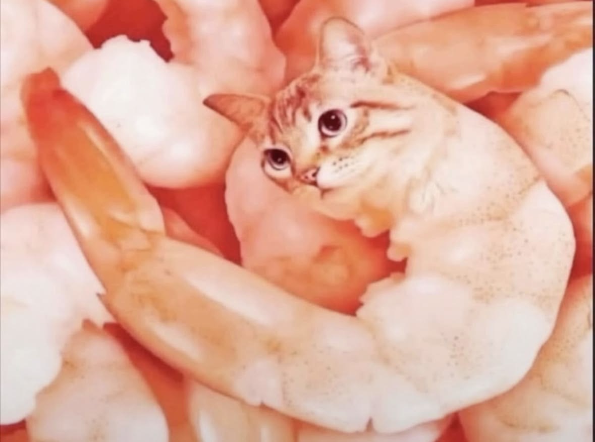 Teratoma2007's tweet photo. Is it real https://t.co/yHrPxAlkn8