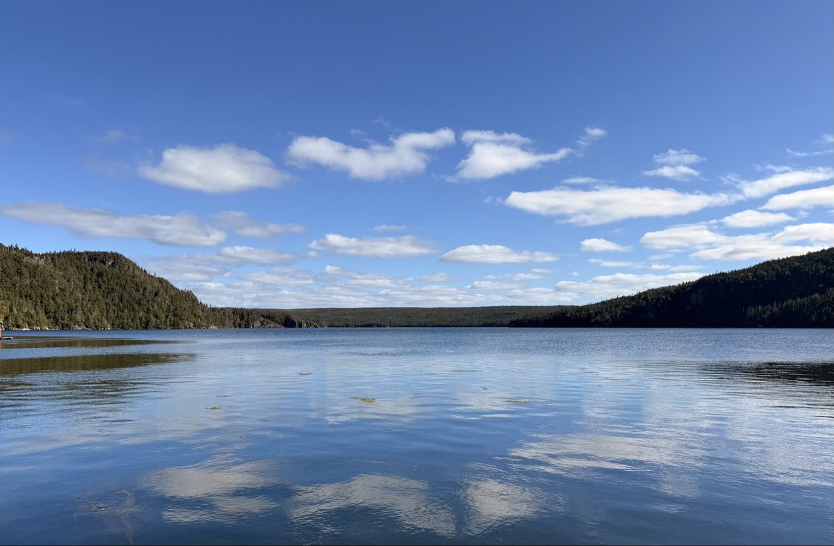 WmtBarry's tweet photo. @OJoelsen Good morning up there 
Have a great day 👍
From Newfoundland https://t.co/jJ353qLIzc
