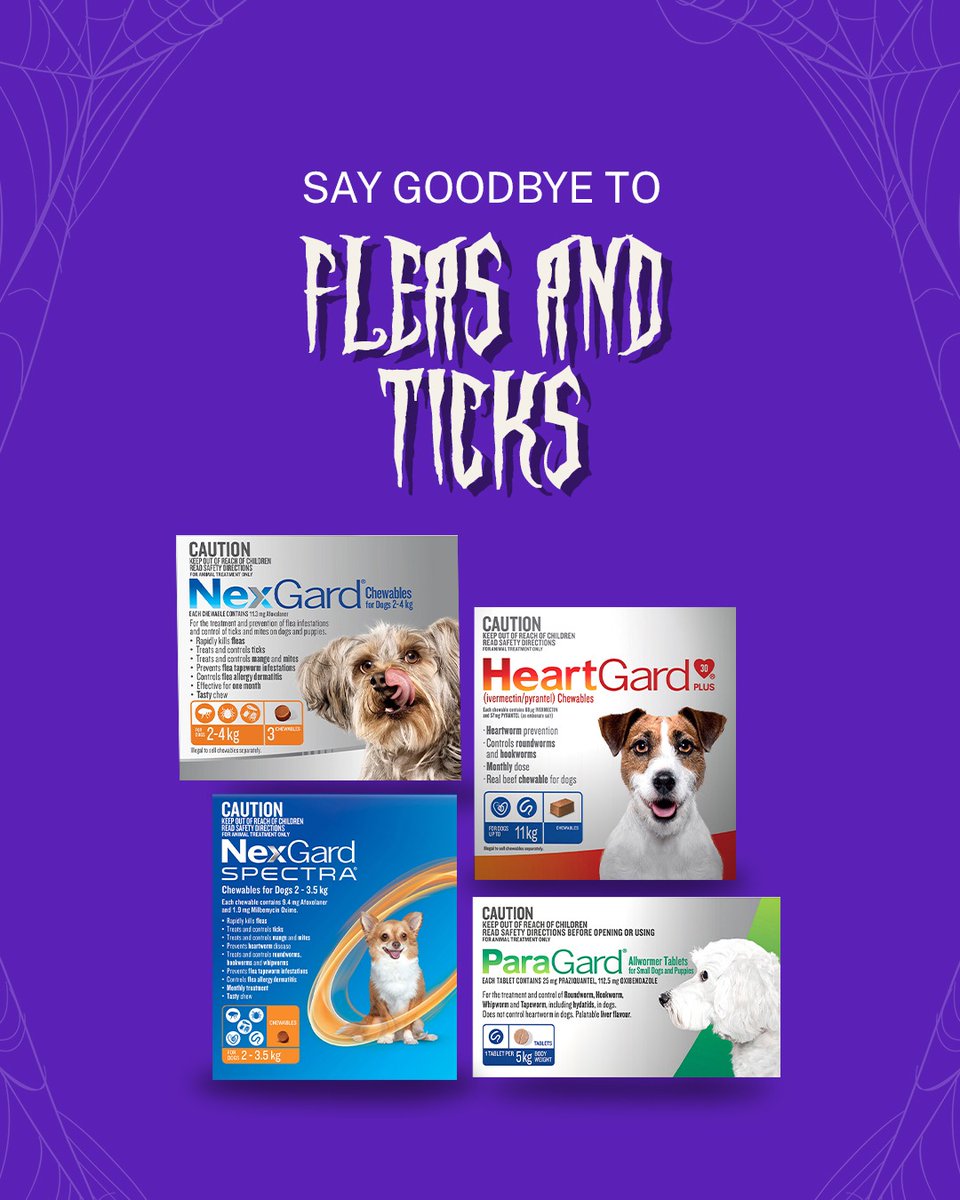 vetsupplyau's tweet photo. ๐ป Donโt let fleas & ticks haunt your pet! ๐ท๏ธ๐ถ
Protect. Prevent. Stay itch-free! โจ
Buy Now - https://t.co/hRVkDIaO8V
#fleafree #tickfree #petcare #pethealth #dogcare #petparents #doghealth #petwellness #fleaandtick #fleaandtickprotection #happypets #healthypets https://t.co/sZX3wjx7mZ