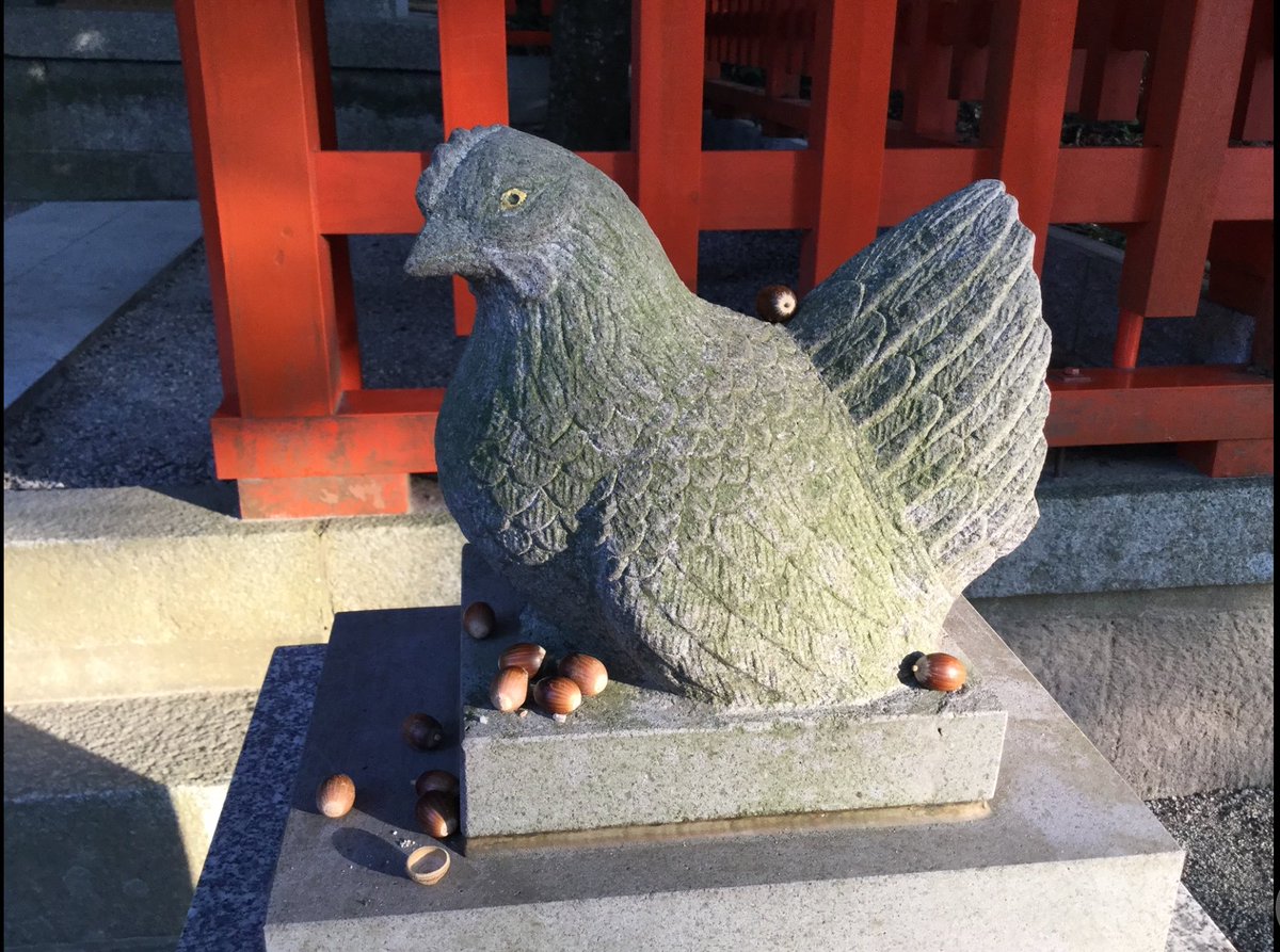 sparna108's tweet photo. ニワトリにどんぐり⁉️ https://t.co/O6xH1RVNq7