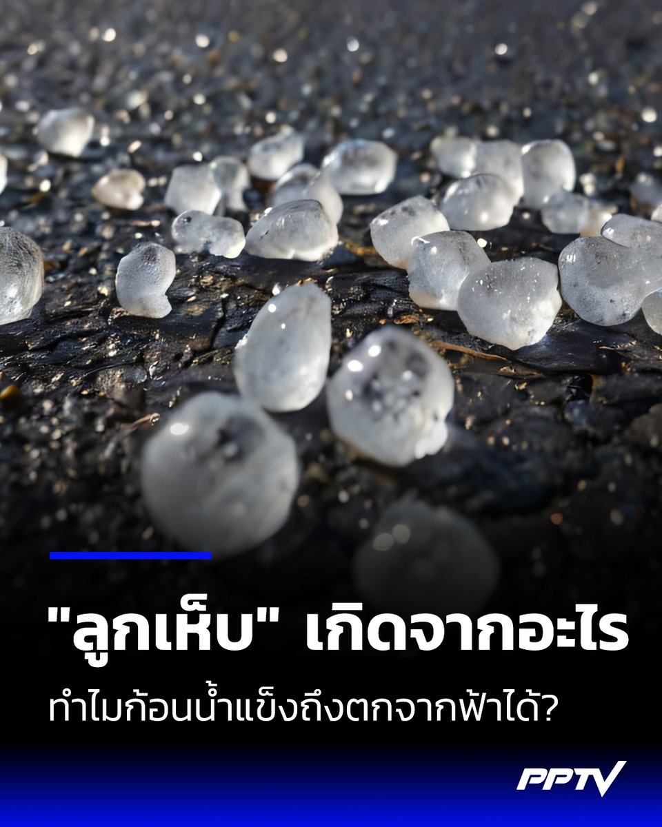 PPTVHD36's tweet photo. รู้จัก "ลูกเห็บ" คืออะไร เกิดจากอะไร ทำไมก้อนน้ำแข็งถึงตกจากฟ้าได้ หลังมีรายงานพบในกรุงเทพฯ

อ่านต่อ: https://t.co/obDWeBV95z

#ลูกเห็บ #ลูกเห็บกทม #ฝนตก #เรื่องข่าวเรื่องใหญ่ #PPTVHD36 https://t.co/e3OAzsmyHo
