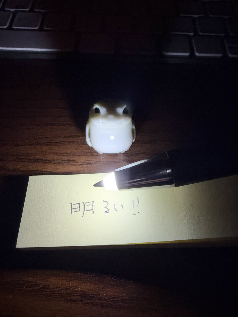 shanyu810's tweet photo. ゼブラのライトペンを買いました
ペン先にライトが付いているので、暗いところでも書ける仕様になっております
眩しいくらい明るいです

個人的には3〜4色タイプ出してほしい https://t.co/8u2eVZVuZS