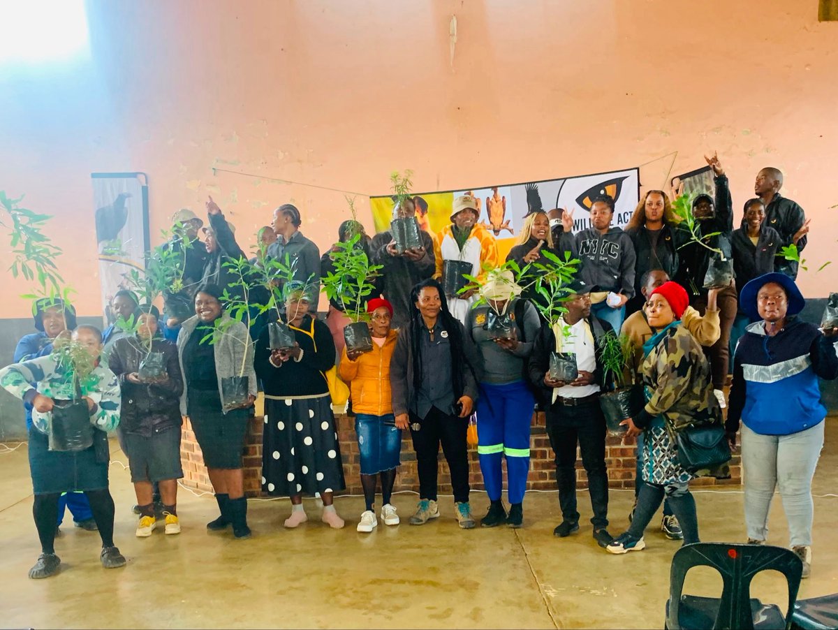 wildlifeact's tweet photo. A great day at Amakhosi Hall, Hlabisa! Young people, community members and partners explored how to protect wildlife and keep our environment clean. Ezemvelo KZN Wildlife donated indigenous trees, including the rare Pepper-bark. 🌳 #WildlifeACT #IndigenousTrees https://t.co/Ca7liAJmmr