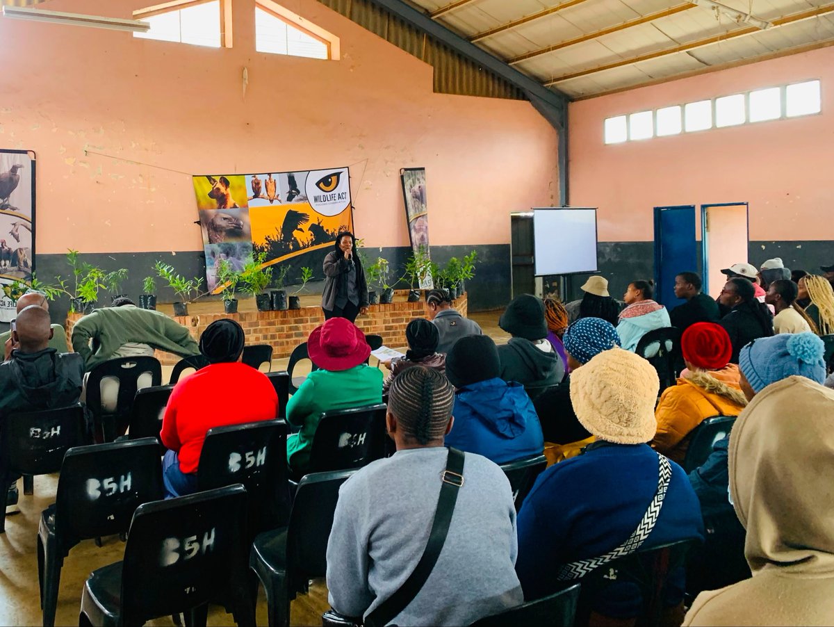 wildlifeact's tweet photo. A great day at Amakhosi Hall, Hlabisa! Young people, community members and partners explored how to protect wildlife and keep our environment clean. Ezemvelo KZN Wildlife donated indigenous trees, including the rare Pepper-bark. 🌳 #WildlifeACT #IndigenousTrees https://t.co/Ca7liAJmmr