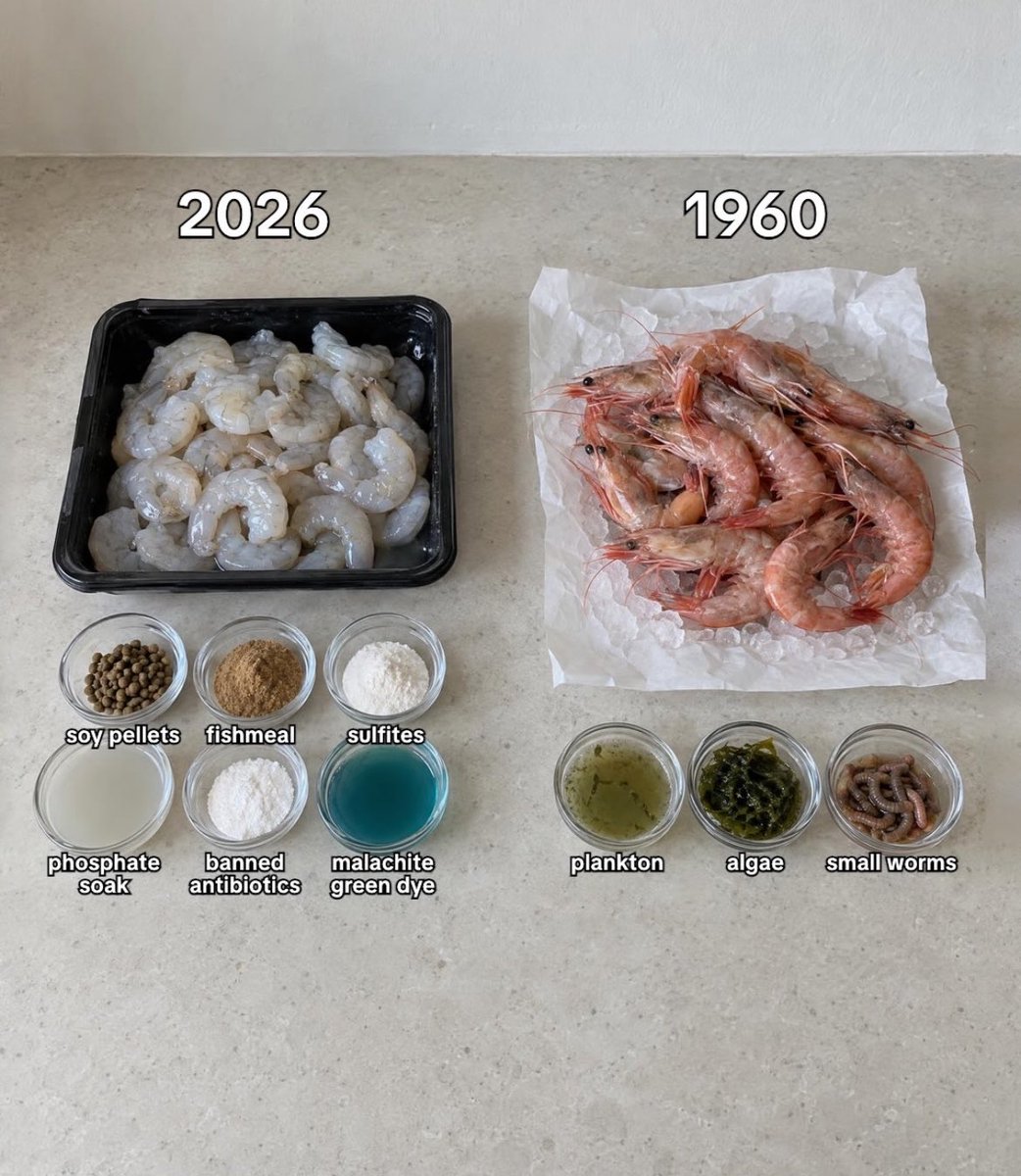 ZamHaberAjans's tweet photo. 90’lı yıllarda ve 2026’da gıdaların içeriğinde neler olduğunu gösteren paylaşım sosyal medyada dikkat çekti https://t.co/1qX4UKBinr