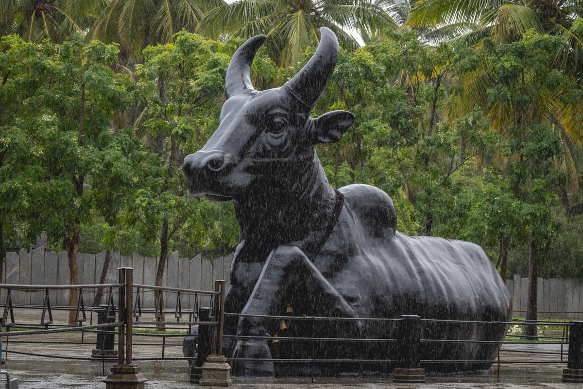IshaTamil's tweet photo. இரவோ பகலோ
வெயிலோ மழையோ
காலையோ மாலையோ
கண் இமைக்காமல்
கம்பீரமாய்
காத்திருக்கும் 
நந்தியார் https://t.co/zfaC5XJAN8