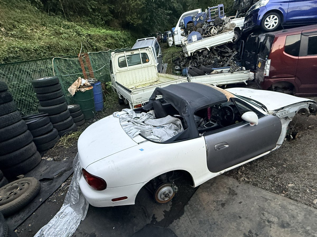 yukitiP's tweet photo. 【ご報告】

盗難・行方不明になっていたNBロードスターですが、無事に車体が見つかりました。

本日、芳賀の富士山公園付近で午前9時ごろに車体の目撃情報があり、その後昼ごろには現地から無くなっていたため心配していましたが、役場の方の通報により車屋さんへ引き上げられていたことが分かりました。

拡散してくださった方、目撃情報を送ってくださった方、現地確認やドラレコ確認をしてくださった方、本当にありがとうございました。
皆さんのおかげで情報が広がり、発見につながりました。

これから警察や保管先と確認を取りながら、車両状態の確認と引き上げを進めます。

取り急ぎご報告とお礼になります。
本当にありがとうございました。

#車盗難 #盗難車 #NBロードスター #ロードスター #盗まれた #栃木 #高根沢