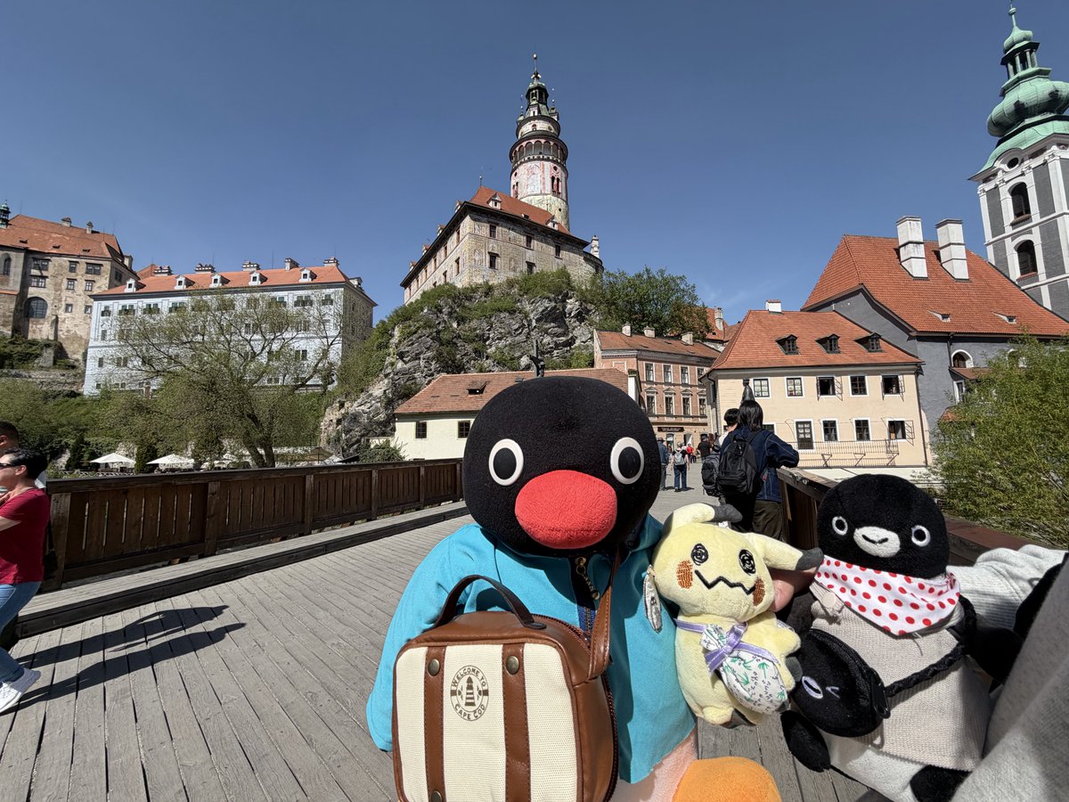 pingu_0626's tweet photo. Suicaのペンギンは卒業するけど、みんなが持っているICカードはなくならない。
これからも自分だけのSuicaを持って、すいぺんと一緒にたくさん旅をするんだ。
泣きたい夜は一緒に寝て
毎日同じ食卓を囲み
これからも自分だけのSuicaと時を刻んでいくんだ。一緒に歩んでいく未来が楽しみだ。 https://t.co/eNk8QIc0MO