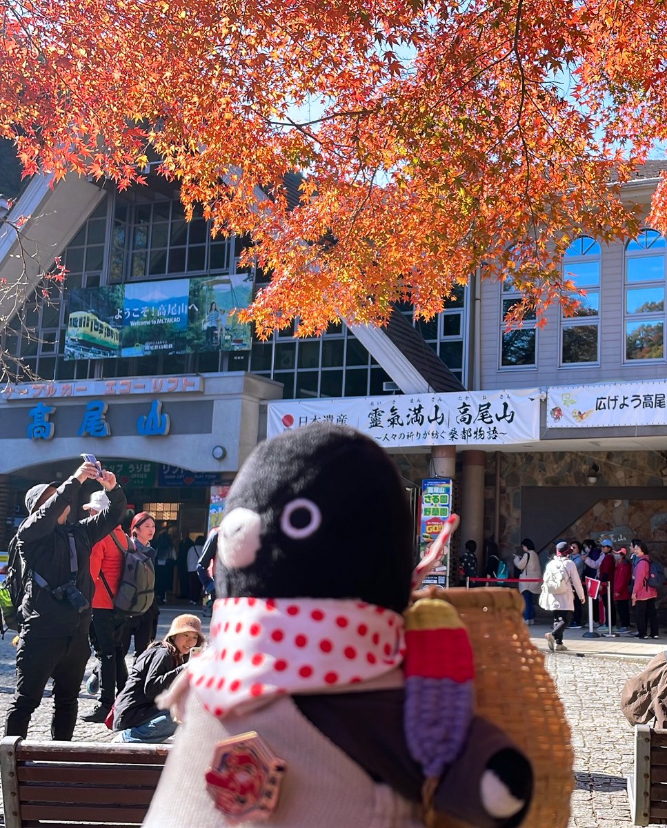 pingu_0626's tweet photo. Suicaのペンギンは卒業するけど、みんなが持っているICカードはなくならない。
これからも自分だけのSuicaを持って、すいぺんと一緒にたくさん旅をするんだ。
泣きたい夜は一緒に寝て
毎日同じ食卓を囲み
これからも自分だけのSuicaと時を刻んでいくんだ。一緒に歩んでいく未来が楽しみだ。 https://t.co/eNk8QIc0MO