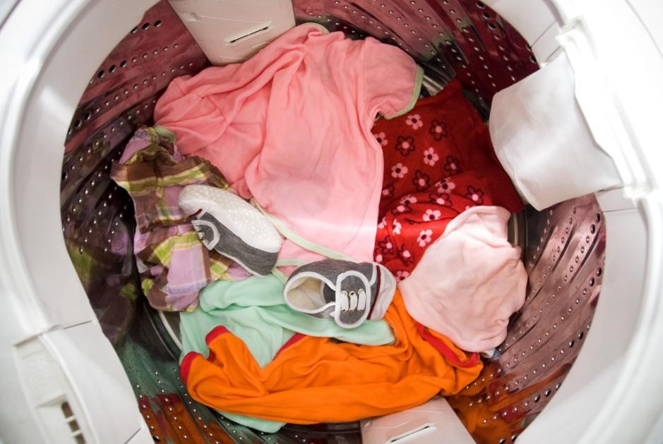 NicoleDanikcow's tweet photo. Just folded the last load of laundry and found a tiny stuffed teddy bear hiding in the towel pile—today’s small win (and silly surprise) done!， https://t.co/4wWyQRusTA
