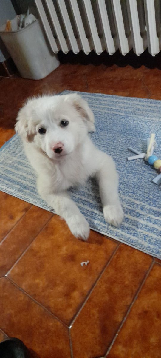 hydrosserafim's tweet photo. 😭😭😭😭😭😭😭😭 il nasino rosa sparito ma è sempre una bimba i cant https://t.co/99HTrZ90tL