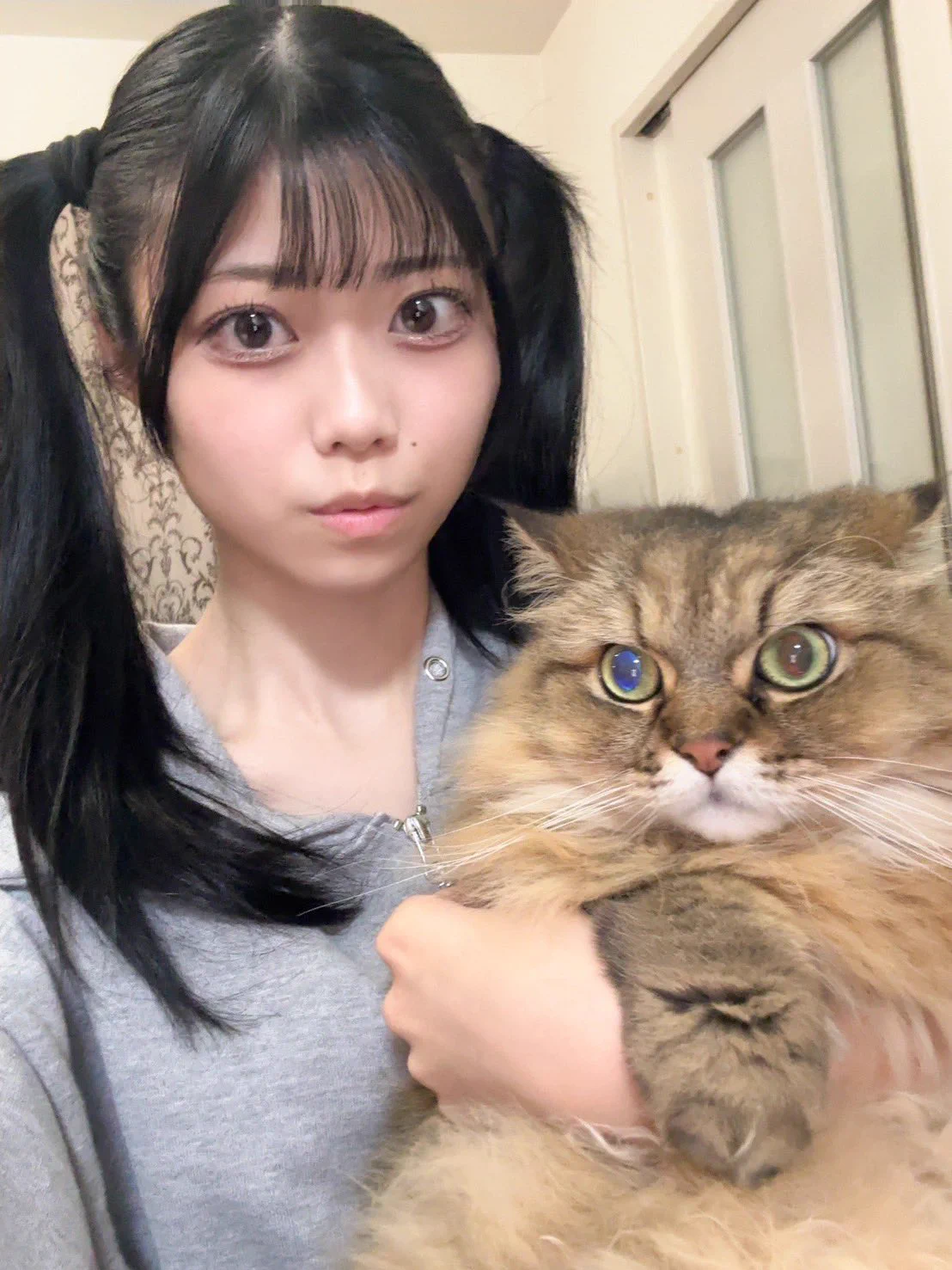 藪内陽花/ひーにゃ【NMB48】 (@y_hinata48) / X