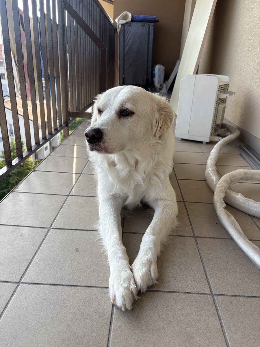 hydrosserafim's tweet photo. 😭😭😭😭😭😭😭😭 il nasino rosa sparito ma è sempre una bimba i cant https://t.co/99HTrZ90tL