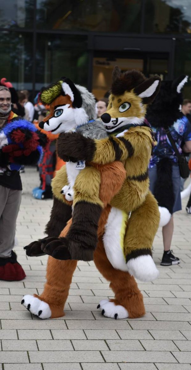 ScharasTheFolf's tweet photo. Yeah, it's #Foxtober again! Let's go to the party @XanderFox97 🦊 

✂️ Made by @DualPawStudios and XanderFox 

#furry #fursuit #FursuitEveryday #furryfandom https://t.co/1FMHvFIjyI