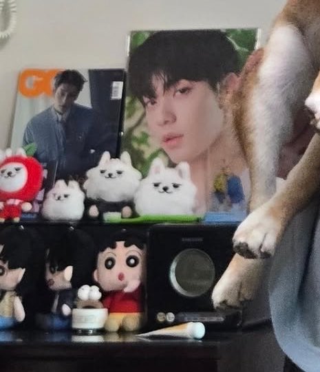 zjilgeongzzn's tweet photo. Apparently yeonjun shinchan’s plushies is also in soobin’s parents house collection🥺❤️  #okay https://t.co/K545viCeTv