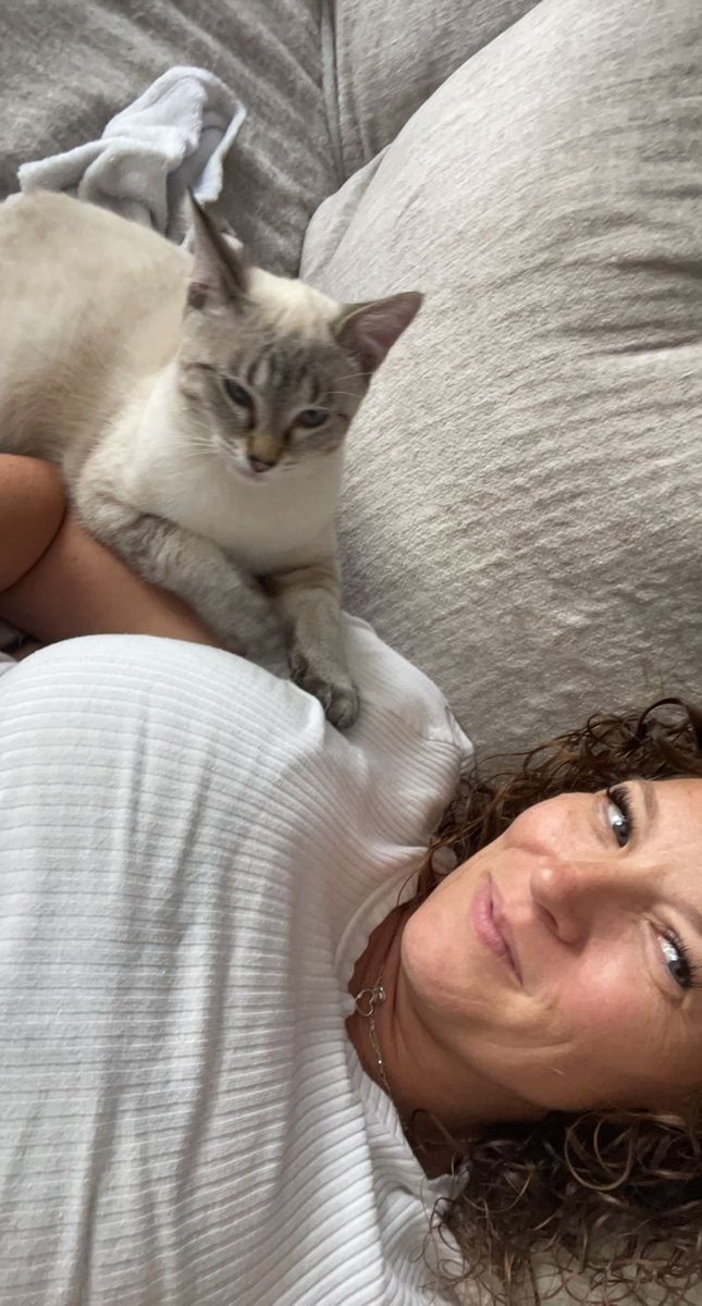 Sophia6537997's tweet photo. Do you love cat https://t.co/EW1kOkcTVv