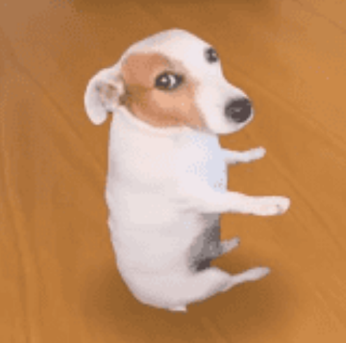 sittingdogpf's tweet photo. @gr3gor14n animal runner on pump u said? 🐕 https://t.co/nxENg8TWnH