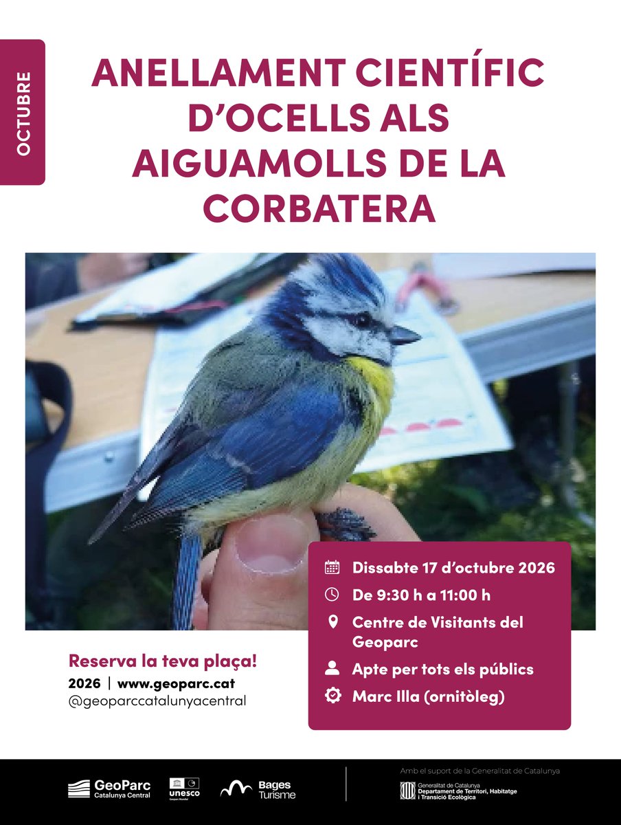 Geoparc's tweet photo. 🐦 Com s’estudien els ocells? El dia 17 d’octubre descobriu-ho als aiguamolls de la Corbatera amb un anellament científic.

🔎 Coneixereu aquest mètode d’estudi i la biodiversitat d’una de les zones humides més importants del Bages.

🔗 Inscripcions a https://t.co/0HyBICPW3e https://t.co/QTX48FPqKn