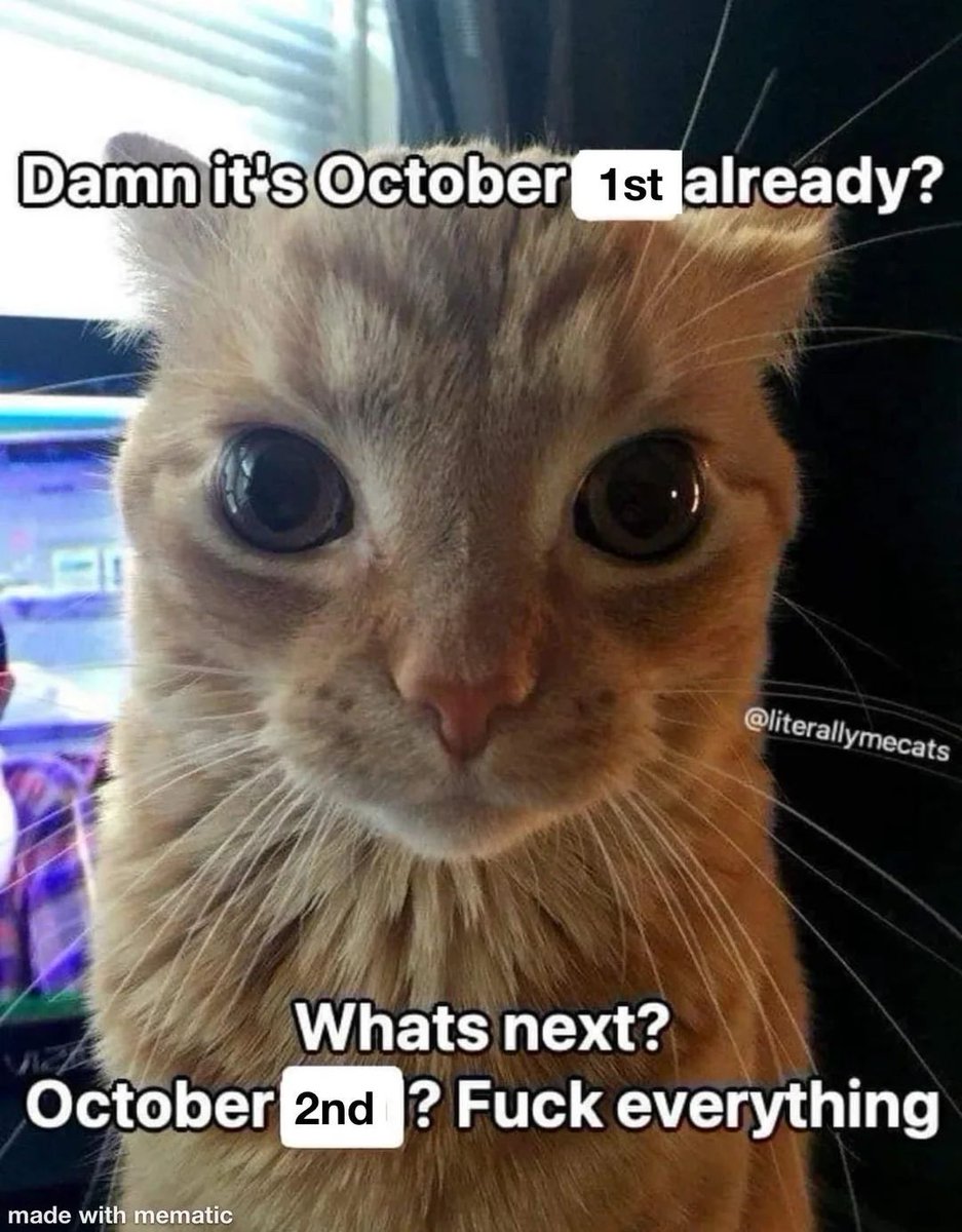 nocontextmemes's tweet photo. https://t.co/k0tJhdQwJ2