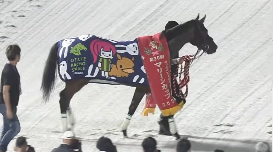 IoryHamon's tweet photo. 大竹厩舎の最高すぎる馬着と優勝レイのコラボきた https://t.co/IdTNRJo7kH