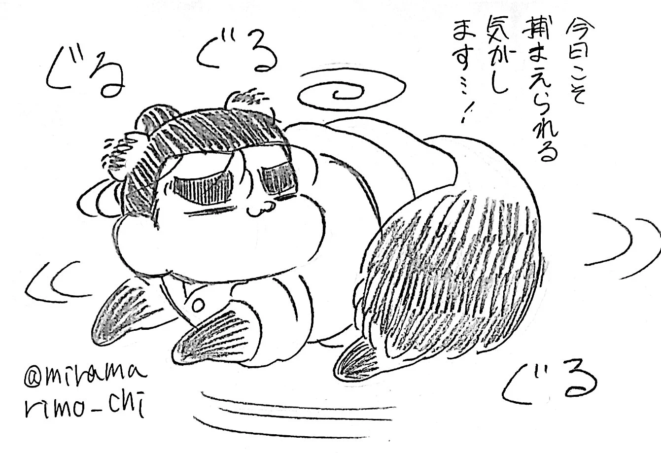 まりも🌏️ (@miramarimo_chi) / X