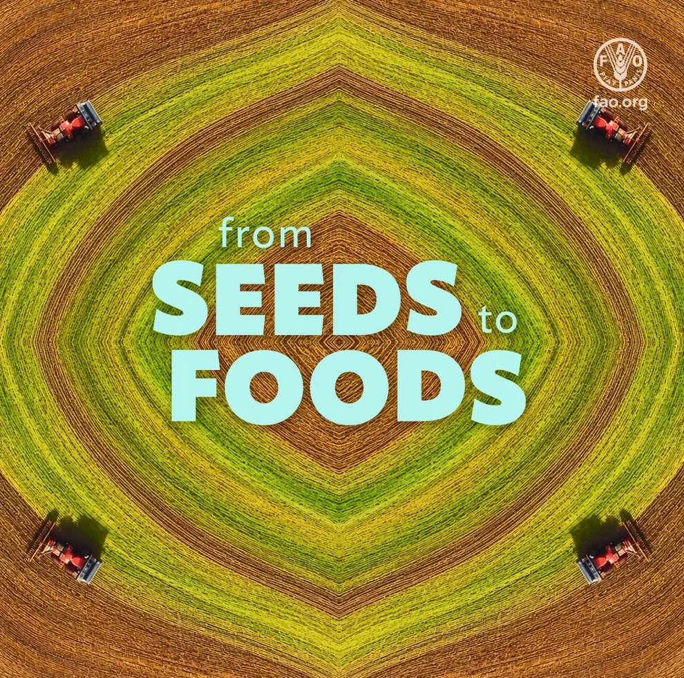 FAONorthAmerica's tweet photo. Mark your calendar for 2nd @‌FAO #Seeds2Foods Exhibition &amp; discover the diversity of foods from around the world.

📍 Circo Massimo, Rome
📅 8–12 Oct 2026
🎟️ FREE ENTRY
👉 https://t.co/Rh1bGttqWm https://t.co/cGUYY3juwK
