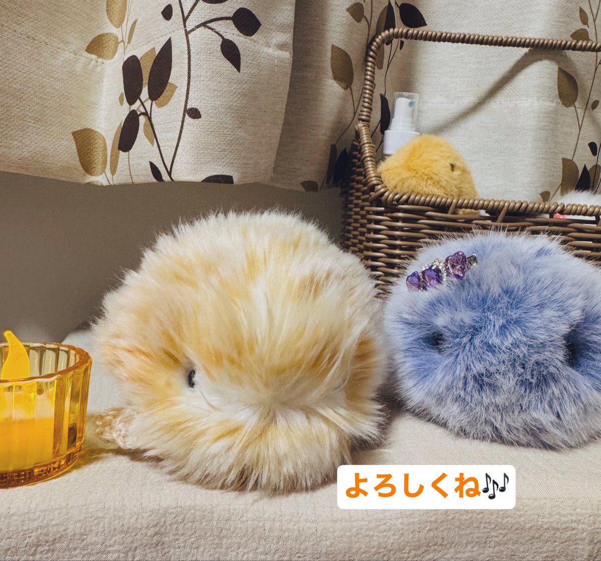 mofupimaru's tweet photo. @Sky52051482 こちらこそありがとうございます☺️
よろしくお願いします🤭✨ https://t.co/KCS7e8OiBb