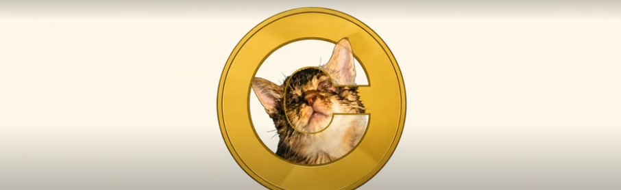 TheBlackBull0x's tweet photo. There’s something satisfying about finding $CATE before everyone starts talking about it. https://t.co/pzHUR1zJye
