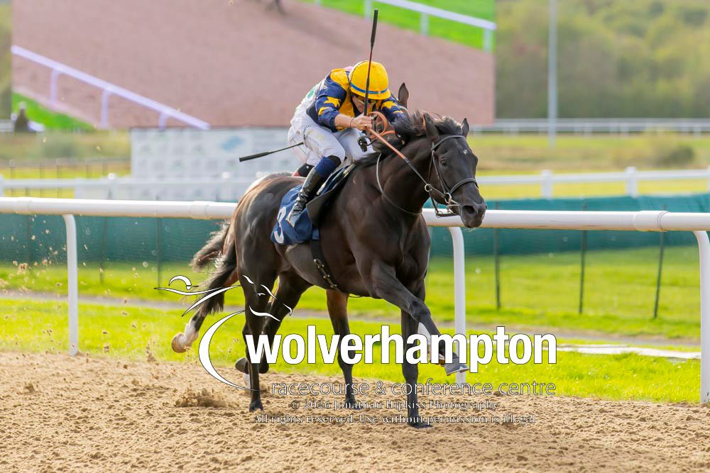 WolvesRaces's tweet photo. 28.09.26    Race 2 - The Download the at the Races App

Winner- Wootz
Trainer-Roger Varian
Jockey - Ray Dawson
Owner - LNJ Foxwoods SC

All images taken by - Jonathan Hipkiss https://t.co/zxxfLMOnYO