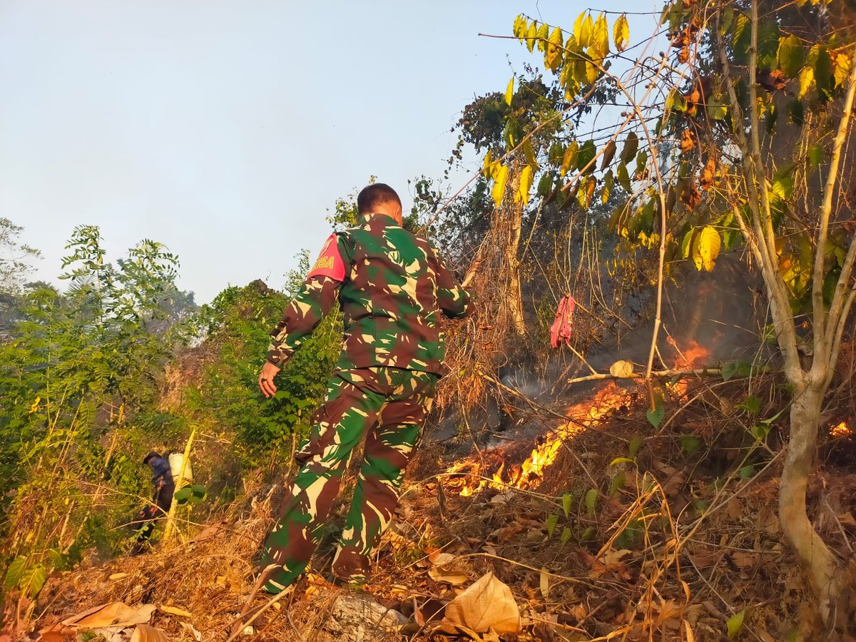 KODIM__1404_PRG's tweet photo. Gerak cepat TNI-Polri bersama petugas Pemadam Kebakaran (Damkar) dan masyarakat setempat berjibaku memadamkan api yang membakar lahan kebun jati milik warga di Dusun Indoapping, Desa Benteng Paremba, Kecamatan Lembang, Kabupaten Pinrang, Kamis (01/10/2026). https://t.co/dKrmJVgVIl
