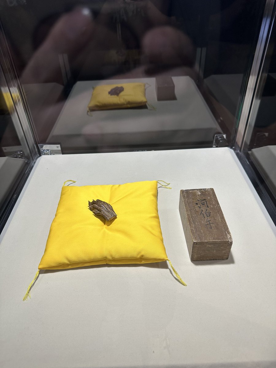 yoshidakazuto's tweet photo. 北千住のマルイで行われている、未確認生物（UMA）展へ行ってきました！

大好きな中沢先生の展覧会、様々な情報はもちろん、沢山の顔はめパネル、ネッシーやビッグフットなど迫力あるUMAの巨大な造形も🦕！
UMA好きはもちろん、未確認生物の世界を知らない人も興味がもてる内容になっていると感じました😺
貴重な河伯（かっぱ）の展示もあり、猛々は大興奮🥒！

こちら今週末１０月４日の日曜日まで開催です。
めちゃくちゃ面白いので皆さんも是非足を運んでくださいね😸！

https://t.co/IesZ8uDkNV