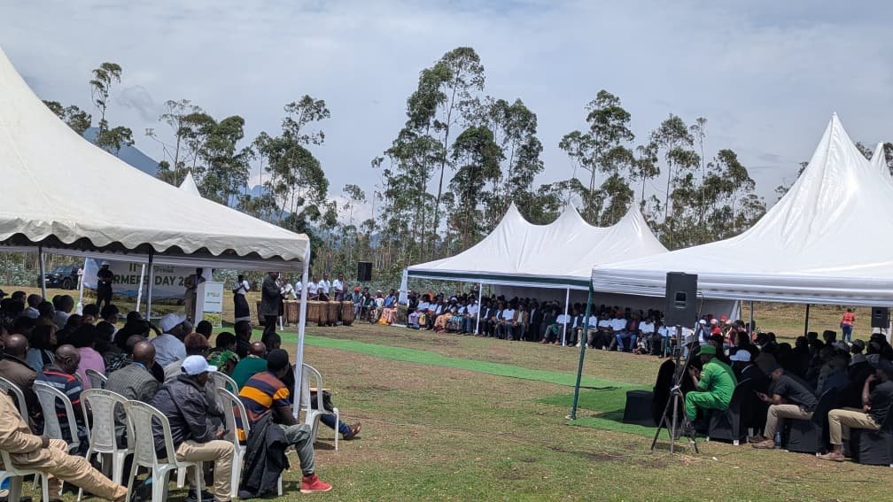 RwandaNorth's tweet photo. Uyu munsi, Guverineri @gahundemaurice yifatanyije n’abahinzi b’ibireti bo muri @RwandaNorth mu gikorwa cyo kubashimira uruhare rwabo mu guteza imbere ubuhinzi bw’ibireti n’ubukungu bw’Igihugu.
Iki gikorwa cyateguwe na HORIZON SOPYRWA, cyabereye mu #Kinigi muri @MusanzeDistrict https://t.co/tWSlP3CLGp