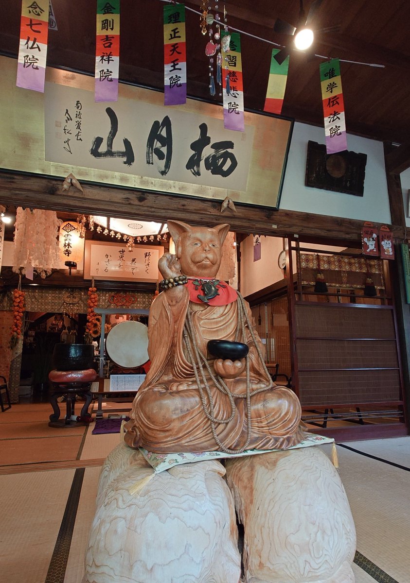 sabikosroom's tweet photo. 猫寺、雲林寺へ行ってきましたー
想像以上に猫だらけだった
タビさん、撫でさせてくれたよん😆 https://t.co/lZYZCVQ8oo