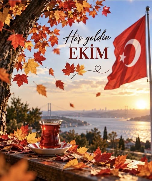 misalsair's tweet photo. #hoşgeldinekim https://t.co/znleJksRzb