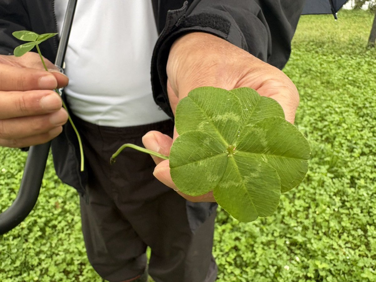 ffwpuSUWA's tweet photo. ✳️温泉会✳️

雨が降ってはいましたが、楽しそうに笑顔で集まって下さり神さまも感動された事でしょう✨✨

教会長が五つ葉のクローバー🍀を見つけられました👏
しかも一つ一つの葉が大きくしっかりとしたクローバー🍀でした

記念に押し花にしたいと思います https://t.co/ja1k5u02rz