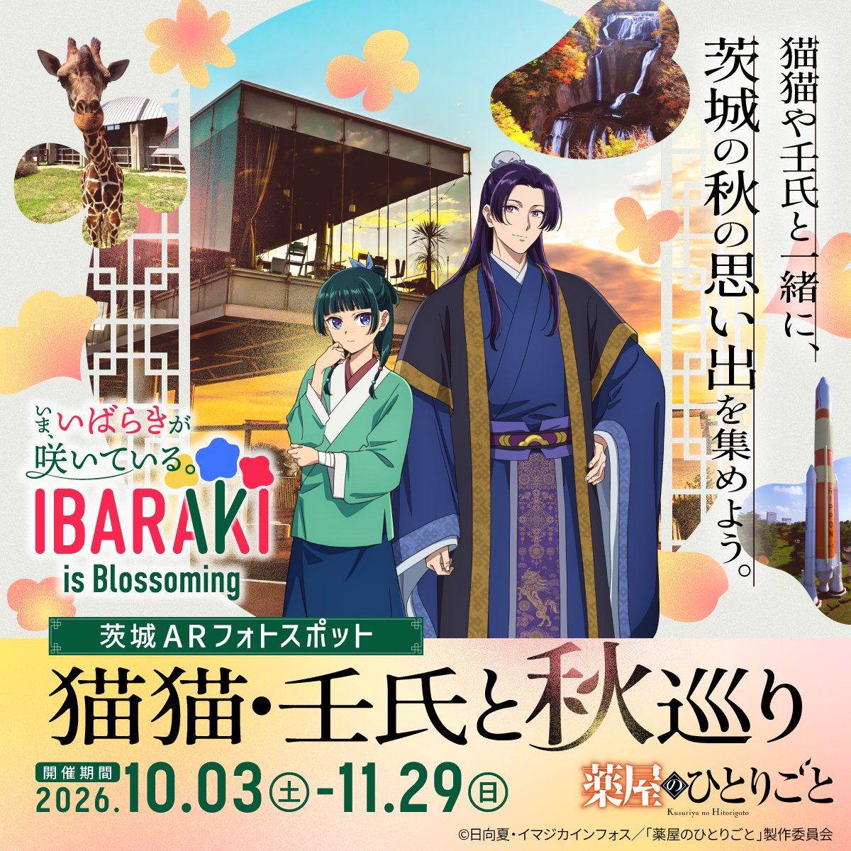 kanko_ibaraki's tweet photo. 🍃茨城県×TVアニメ『#薬屋のひとりごと』🍃

　　🌿茨城ARフォトスポット【第2弾】🌿
　　🐈#猫猫壬氏と秋巡り 10/3(土)開幕🪷

10/3(土)～11/29(日)まで、県内４つのスポットに #猫猫 と #壬氏 と #馬閃 のオリジナルARフォトフレームが登場します📸

旬のグルメや紅葉など、秋に色づく #茨城 を旅しながら、各スポットに設置されたQRコードを読み取って、”秋旅”の思い出を写真に収めよう🍂

▼スポット情報など詳細はこちら
https://t.co/QmiWzzV37t