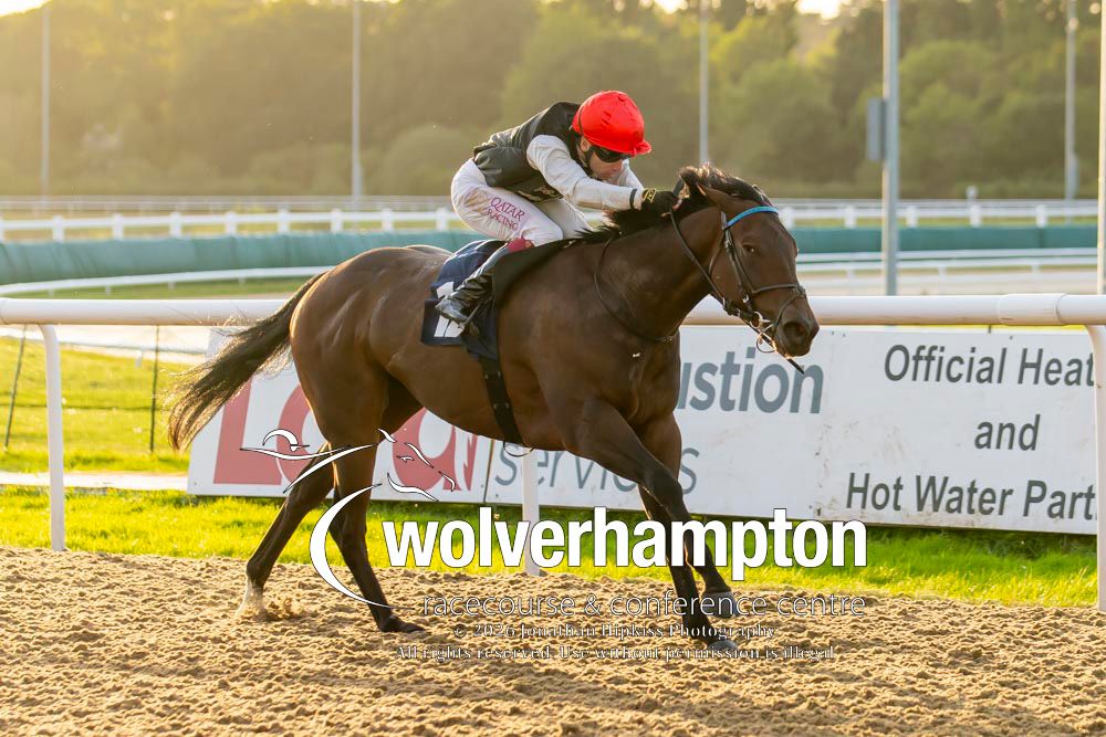 WolvesRaces's tweet photo. 28.09.26    Race 4 - The Cavani style &amp; Speed 

Winner- Ridger
Trainer -Ollie Sangster
Jockey -Oisin Murphy
Owner -Mr A N C Bengough

All images taken by - Jonathan Hipkiss https://t.co/9EKVunEzPr