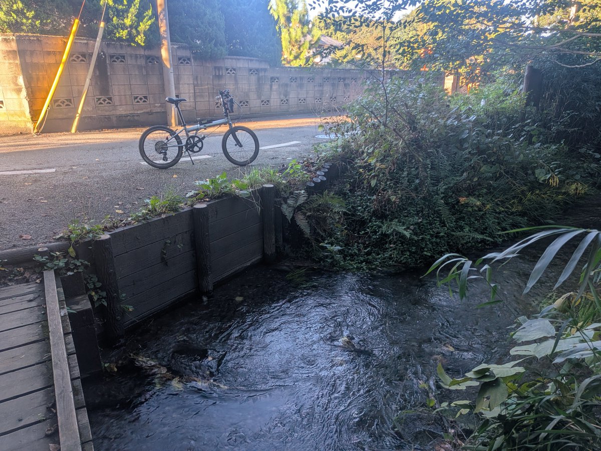 tasogaredensya's tweet photo. 落合川上流端、こむぎ広場、そして南沢湧水群
#speedfalco #pixel10a https://t.co/Rej0oGSOHB