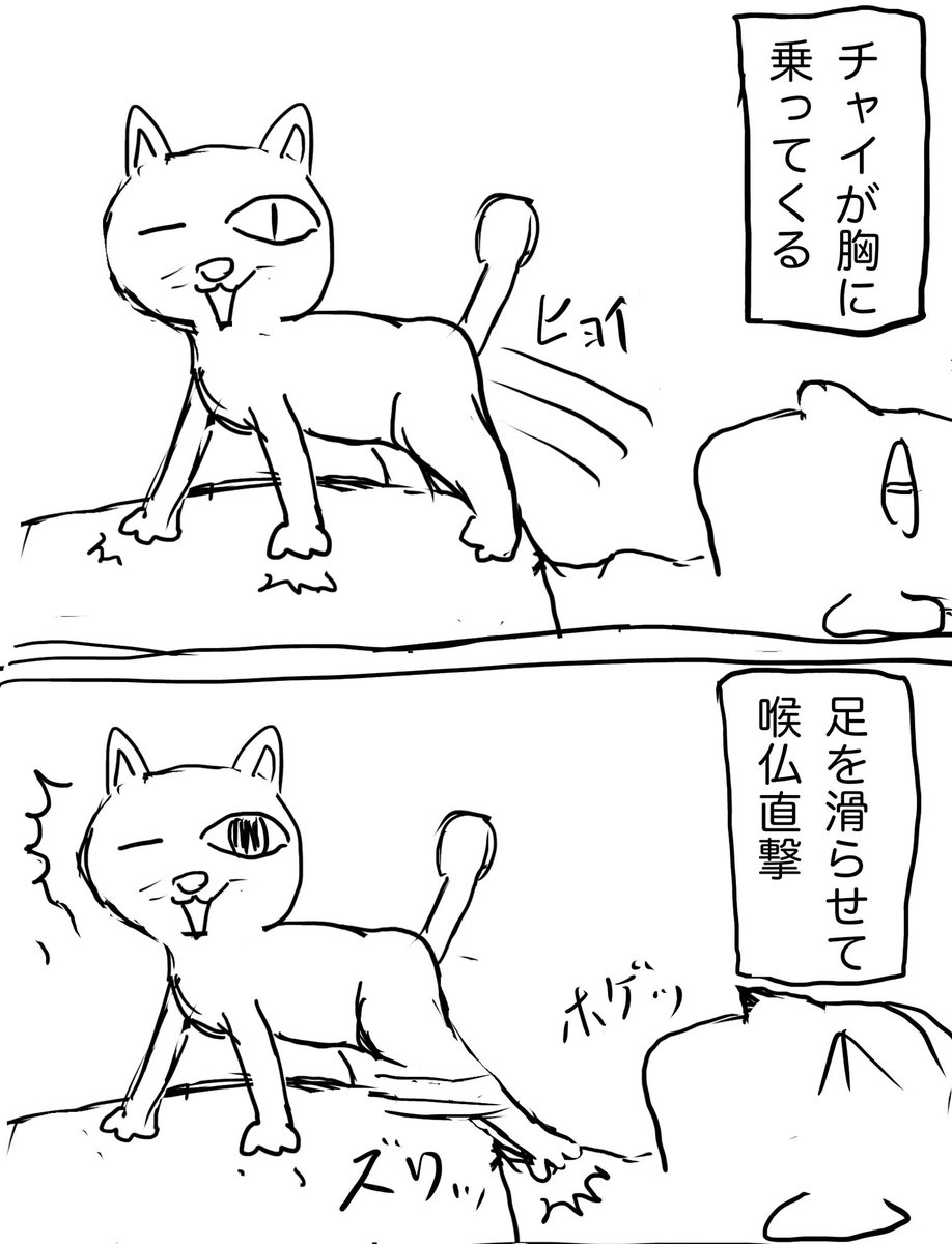 cybele_nakano's tweet photo. 雑ねこ漫画 https://t.co/nlmWZVn7h7