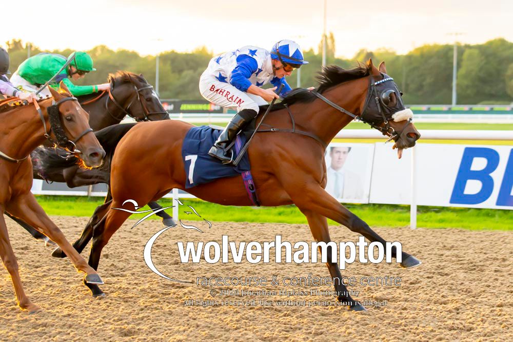 WolvesRaces's tweet photo. 28.09.26    Race 5 - The Cavani Style &amp; Speed.

Winner- Aspire To Glory
Trainer - Dylan Cunha
Jockey -Tom Marquand
Owner -Coral racing Club

All images taken by - Jonathan Hipkiss https://t.co/9aJ9wnHPpi