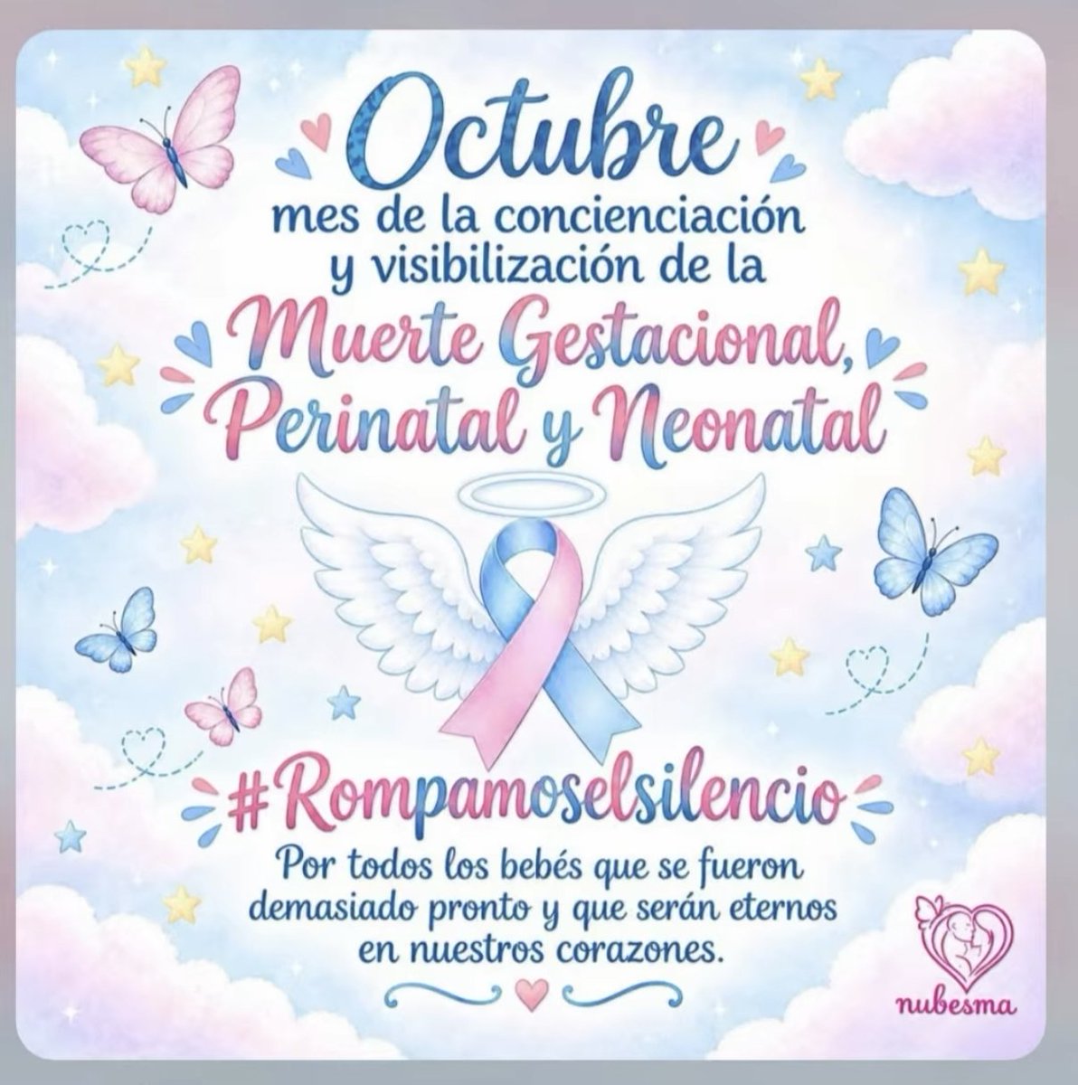 Mi_MariposaAzul's tweet photo. #octubre #15deoctubre #dueloperinatal #duelogestacional #muertegestacional #muerteperinatal #brazosvacios #lavidaenpausa https://t.co/LjQzGmrkbx