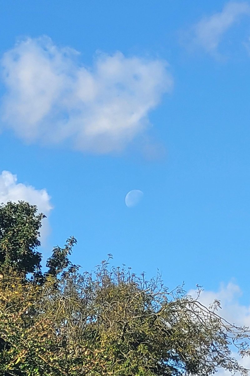 VH_SpaceArt's tweet photo. Guess who I saw today!
I had no idea she was up, she caught my eye and knew I needed her reassurance today.๐ฅน
Awful phone photo, idc at all!๐ https://t.co/m2kWul2H25