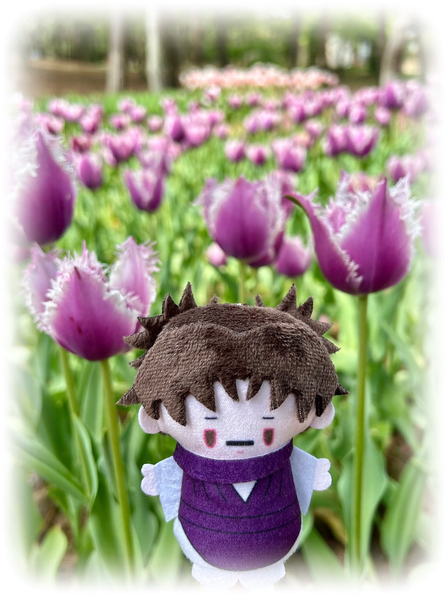 12ucha24's tweet photo. @aya_FRSStack ﾕｼﾞｸﾝぽいです❣ピンクのかわいいお花💗

↓私もこの🌷チューリップお兄ちゃんぽいな〜って思って撮りました😊 https://t.co/yhdtlZsw8C