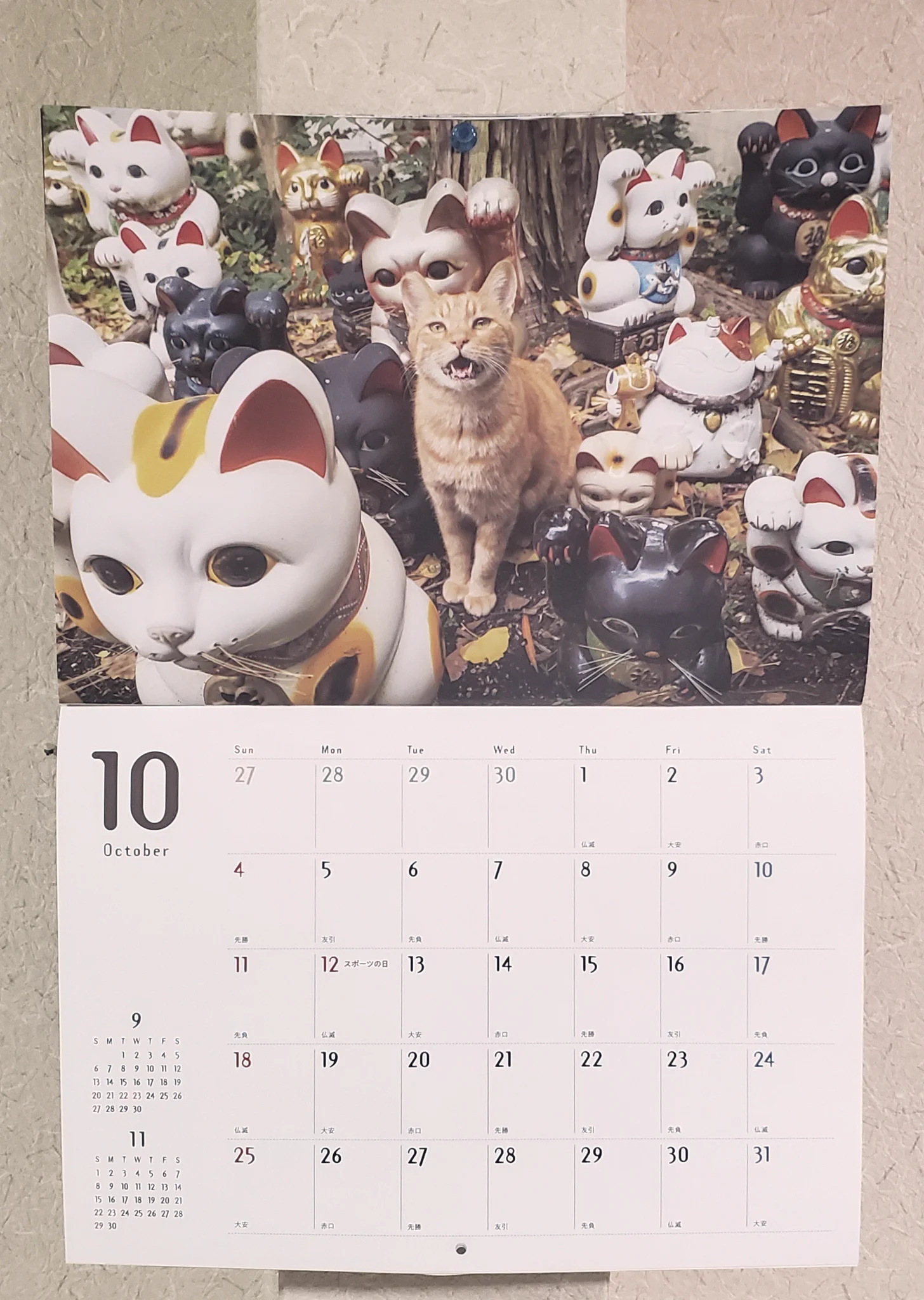 🐱タツ🐾🎨 (@saka46_tatsu) / X